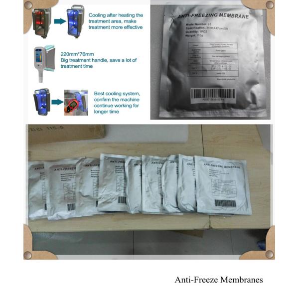 China factory price cryolipolysis slimming fat freezeing machine body fat dissolve