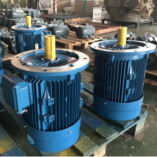 Durable Permanent Magnet Brushless AC Motor IP55 High Power Maintenance Free