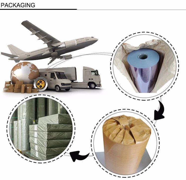 0.2mm China mufacturer Disposable anti fog sheet pet plastic