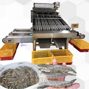 3P Multiscene Shrimp Grading Machine Automatic Multi Function