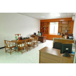 Dongguan Libo Silicone Electronics Co., Ltd.