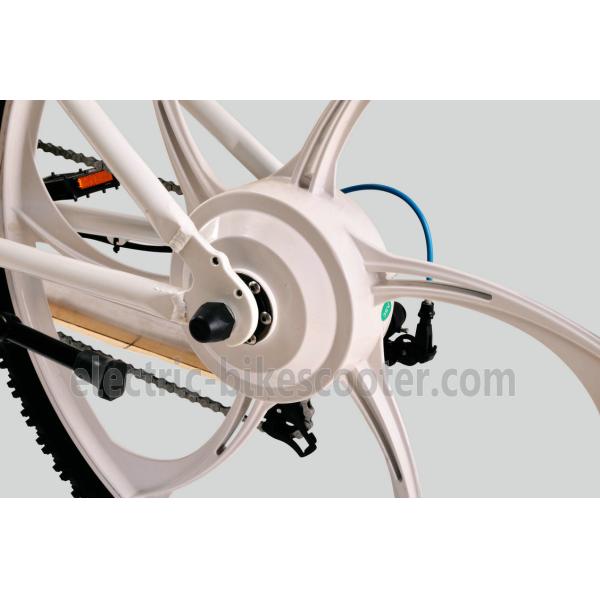 36V 250W Electric Mountain Bicycle , Electric Mountain Bike With Suspension