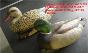 China XPE Foam material foldable turkey decoy for hunting on sale