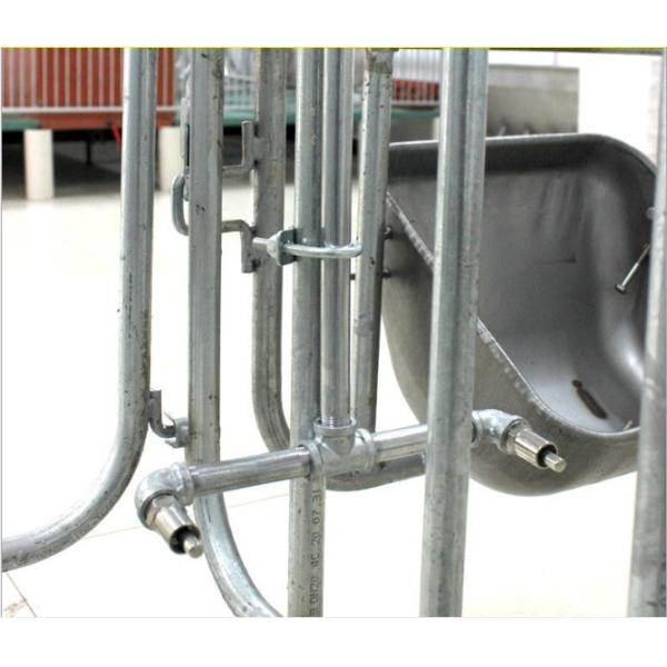 Farm Equipment Poultry Nipple Waterer Brass 201 304 Stainless Steel 1/2" Dn15 Pig