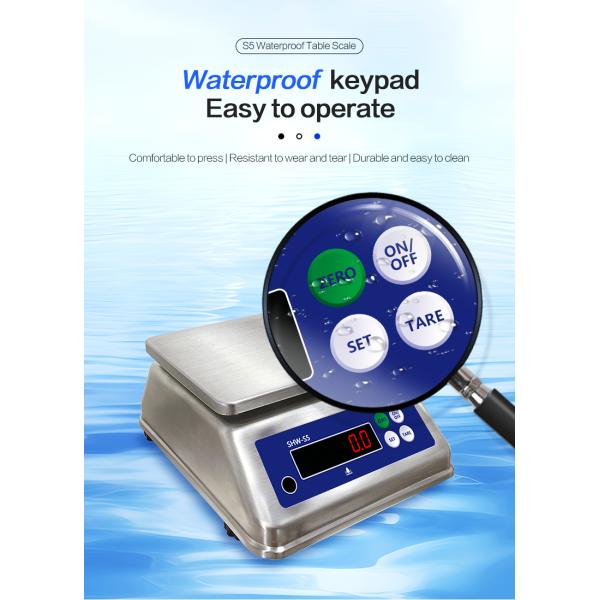 6kg Maximum Weighing Stainless Steel Scale with Dual Display and IP68 Waterproof Rating