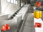 High Temperature Resistance Tomato Processing Line with Customized Capacity and