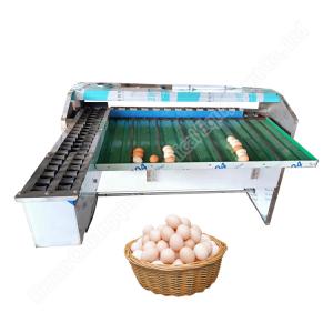 Chicken Farm Classifier Chicken Farm Grading Machine Chicken Egg Sorting Machine Egg Weight Sorting Machine