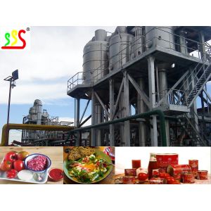 China Concentrated Fruit Pulp Production Line High Capacity wholesale