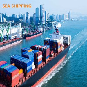 China Speedy China To Dallas USA Labelling DDP Sea Shipping wholesale
