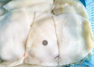 China Equator suqid fillet, frozen giant squid fillet 1000g 2000g Size wholesale