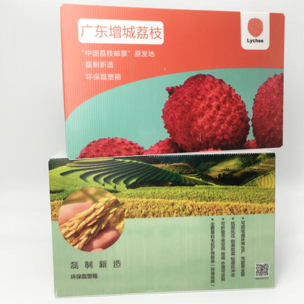 3.5mm Fresh Fruit Storage Plastic Corrugated Box Anti - Friction For 20kgs