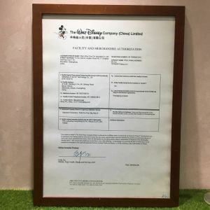 Shenzhen Yizexin Technology Co.，ltd Certifications