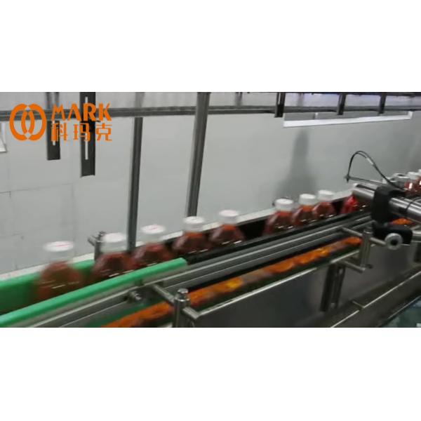 Small Scale Fruit Juice Processing Line , Professional Carbonated Drink Filling