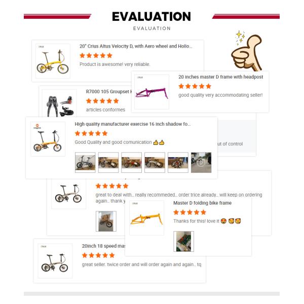 Customized Adult Mountain Bike Bicycle with Alloy Frame and 27.5 Tire