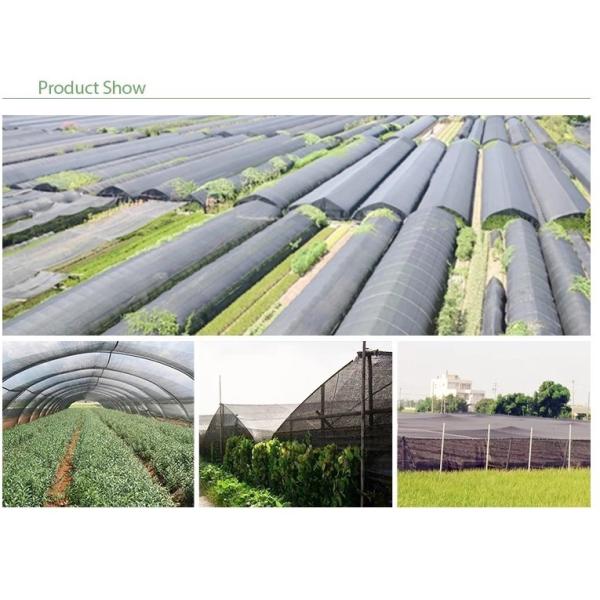 Quality UV Treated Greenhouse Shade Net / Green Garden Net For Roofing Agriculture Cover for sale