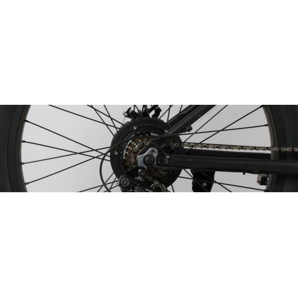 50km/H 48v 1000 Watt Electric Mountain Bike