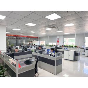 Shenzhen Xinxing Southern Industrial Development Co., Ltd.