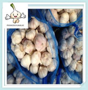 China 2016 new crop peeled garlic exporters from china China Fresh Garlic / Red Garlic wholesale