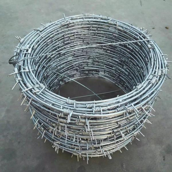 high tensile single twist barbed wire single strand high tensile barbed wire 1-2cm barb length