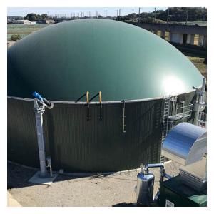 China Biogas Fermentation Tank For Chicken Farm Anaerobic Reactor on sale