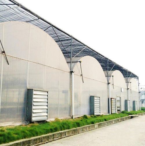 1530mm Heavy Hammer Type Exclusive Manufacturing Wall Fan Wall Mounted Industrial Ventilation Fan