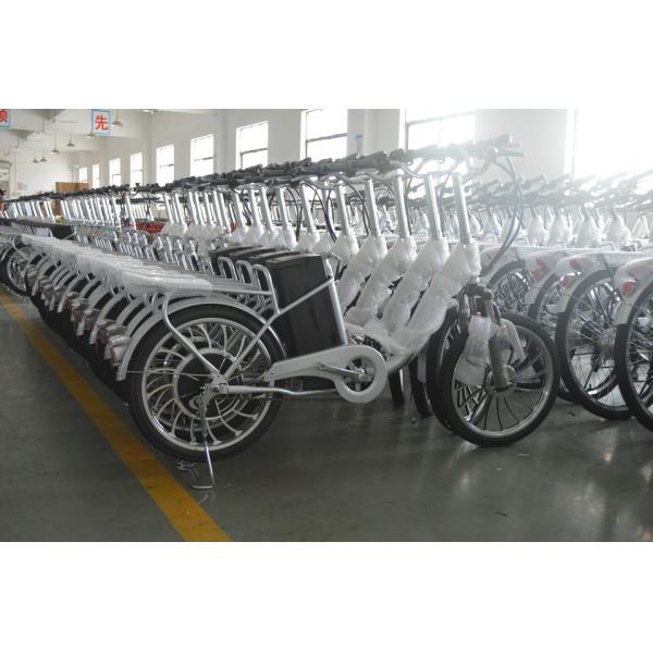 18 Inch Wheel Suspension Frame Electric Cruiser Bike With 250w Brushless Motor