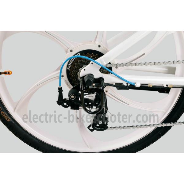 36V 250W Electric Mountain Bicycle , Electric Mountain Bike With Suspension