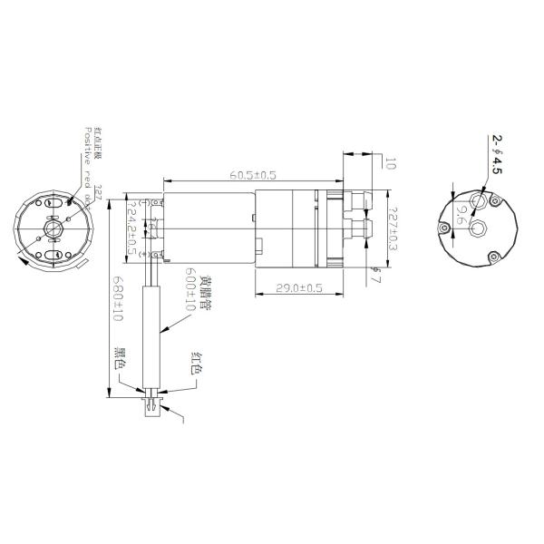 12vdc Mini Dc Vacuum Pump Water Flow 1.2l/M For Teeth Cleaner