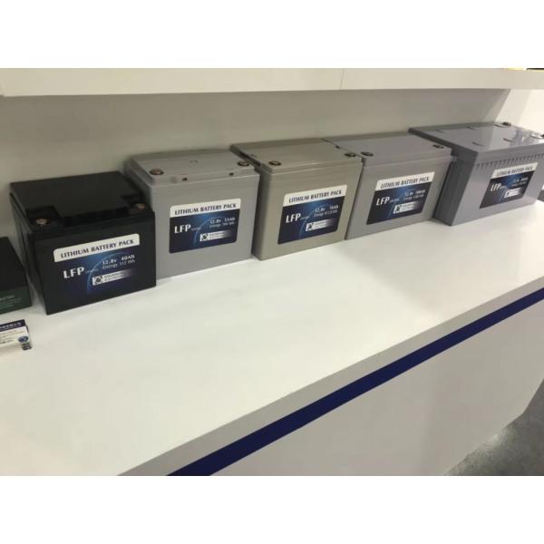 Lithium Battery 12.8V 100ah Rechargeable LiFePO4 Lithium Li-ion Battery Pack