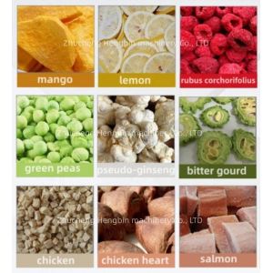 High Productivity 200kg per batch Honey Freeze Dryer Machine with Easy Operation