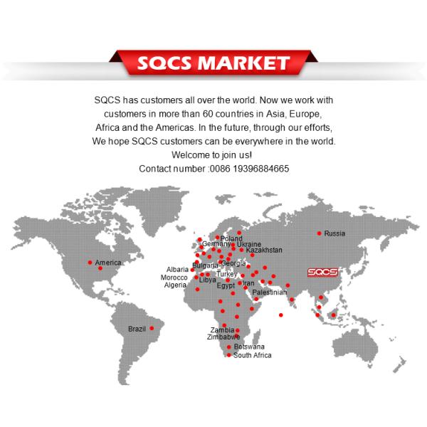 Replace/Repair Electric Tail Cover Rear Trunk Tailgate for Tesla Model 3 by SQCS