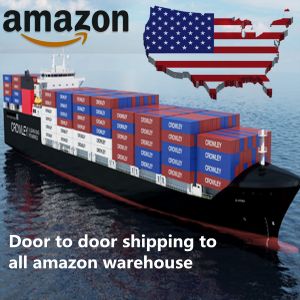 China Shenzhen To Amazon USA Sea DDP International Shipping wholesale