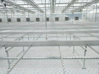 Flower Growing Greenhouse Rolling Bench System Galvanized Nursery Bench Cultivation Seedbed