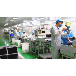 Shenzhen Rookie Information Technology Service Co., Ltd.