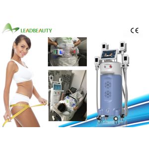China Newest cryolipolysis fat freezing vacuum cavitation body slimming machine wholesale