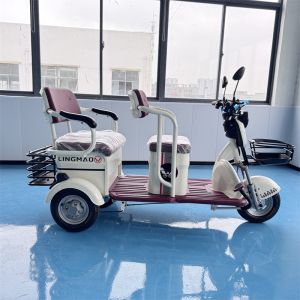 Dual Purpose Electric Leisure Tricycle For Passenger And Cargo Transport