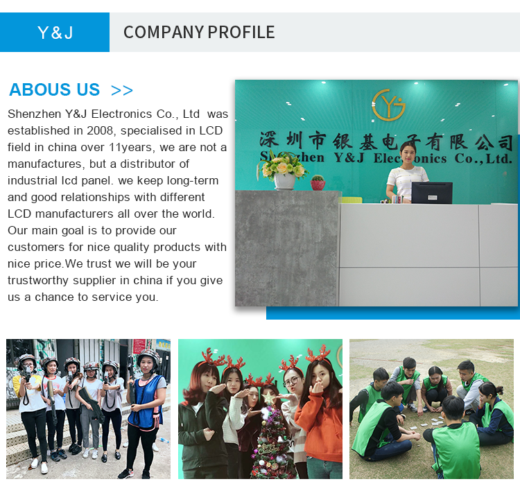 5 inch 800*480 TFT LCD Screen Module Display AT050TN43