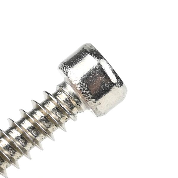 304 Stainless Steel Round Fillister Head Screw M6 Torx Screw with Customized Support