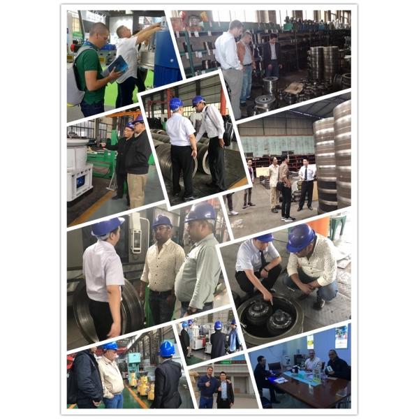 6mm 2T/H Wood Pellet Making Machine 132KW For Fuel Plants