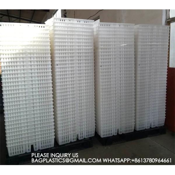 Chicken Cage Turnover Box With Partition Board Chicken Transportation Cage Egg Cage