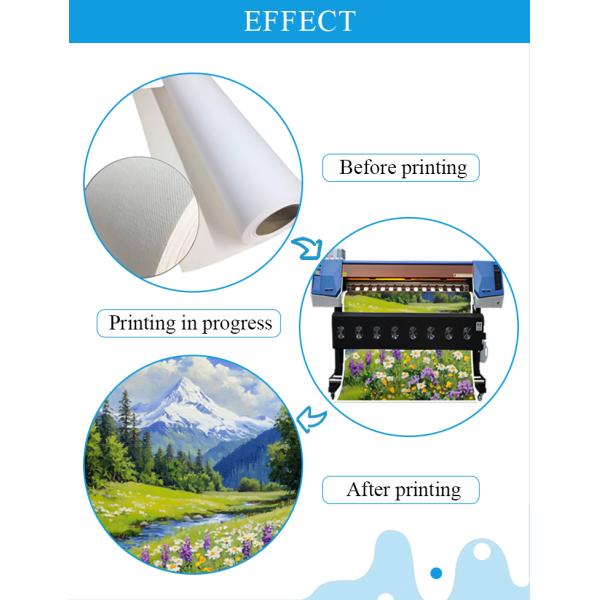 Acid Free 280gsm Matte Polyester Canvas Roll for Eco-Solvent Latex and UV Printers with Multiple Sizes and Free Samples