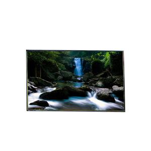 China LC550DUN-TKB1 55.0 inch LCD Panel 1920*1080 LCD Screen Display wholesale
