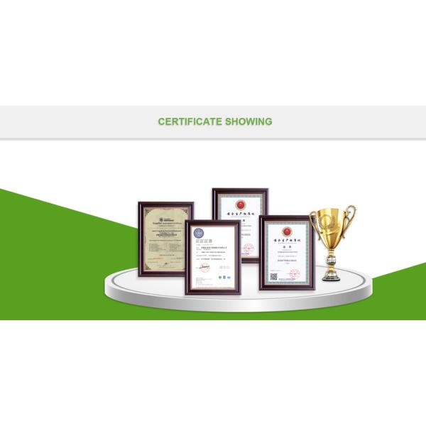 Automatic Weight Power Packing Machine/Quantitative Power Bagging Equipment