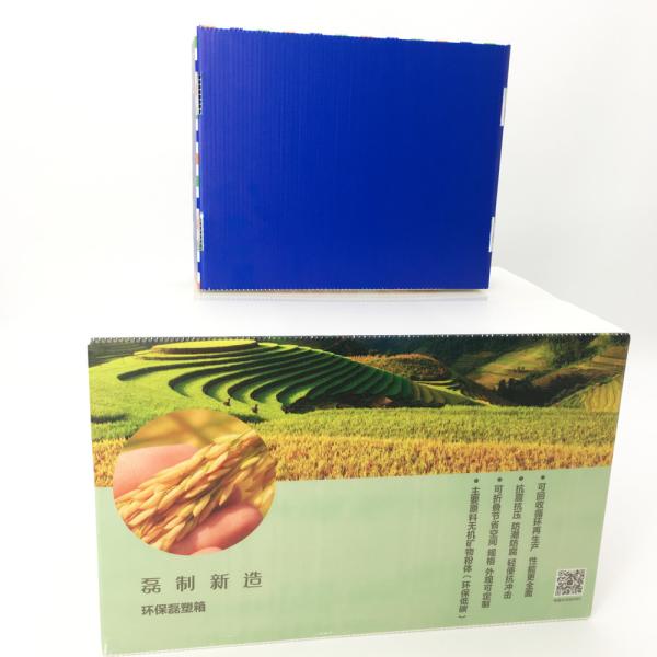 Foldable Corrugated Plastic Storage Boxes For Grain Agricultural Product