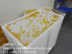 China Food Grade Large Plastic Trays For Drying Paintball / Softgel / Capsule With Certificate wholesale