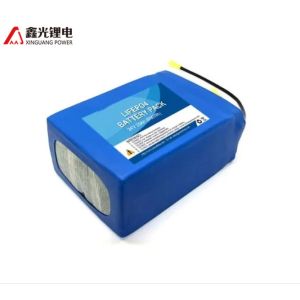 LifePO4 Lithium Iron 25.6V 24Ah Electric Vehicle Battery Pack