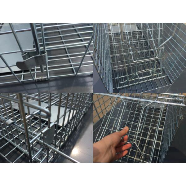 20x20cm Galvanized Metal Steel Animal Trap Cage Windproof Bird Trap Cage