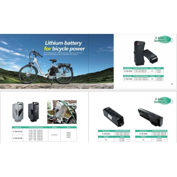 24V 11.6ah Viking Cortina E Bike Battery Replacement Lithium-Ion Battery Pack