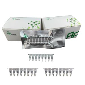 Buy cheap Stable Easy Operate DNA Nucleic Acid Amplification NFO Kit from wholesalers