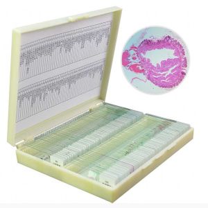 China 100pcs Biological Animal Tissue Medical Microscope Slides With Specimens wholesale